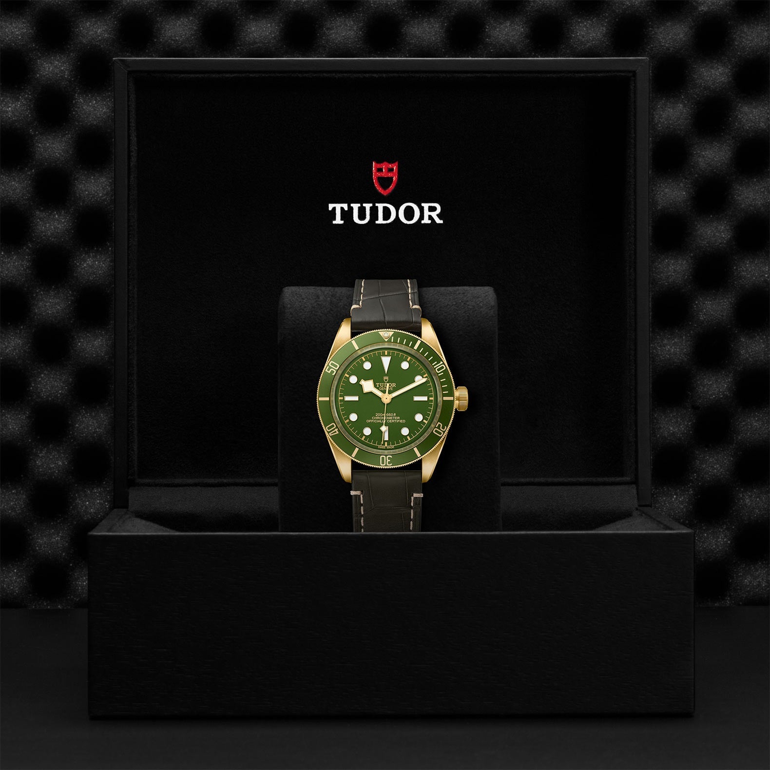TUDOR Black Bay Fifty-Eight 39mm 18kt Yellow Gold