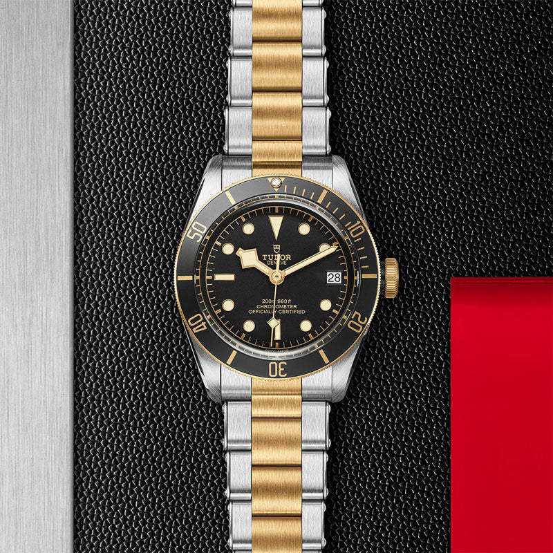 TUDOR BLACK BAY SG 79733N 72063 BLK 2