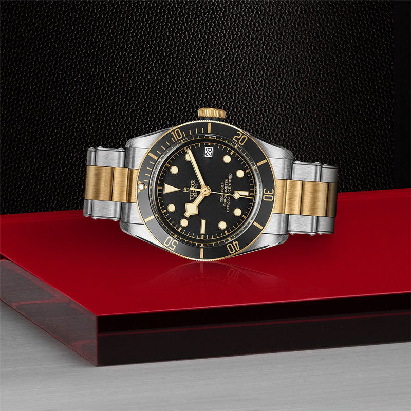 TUDOR BLACK BAY SG 79733N 72063 BLK 3