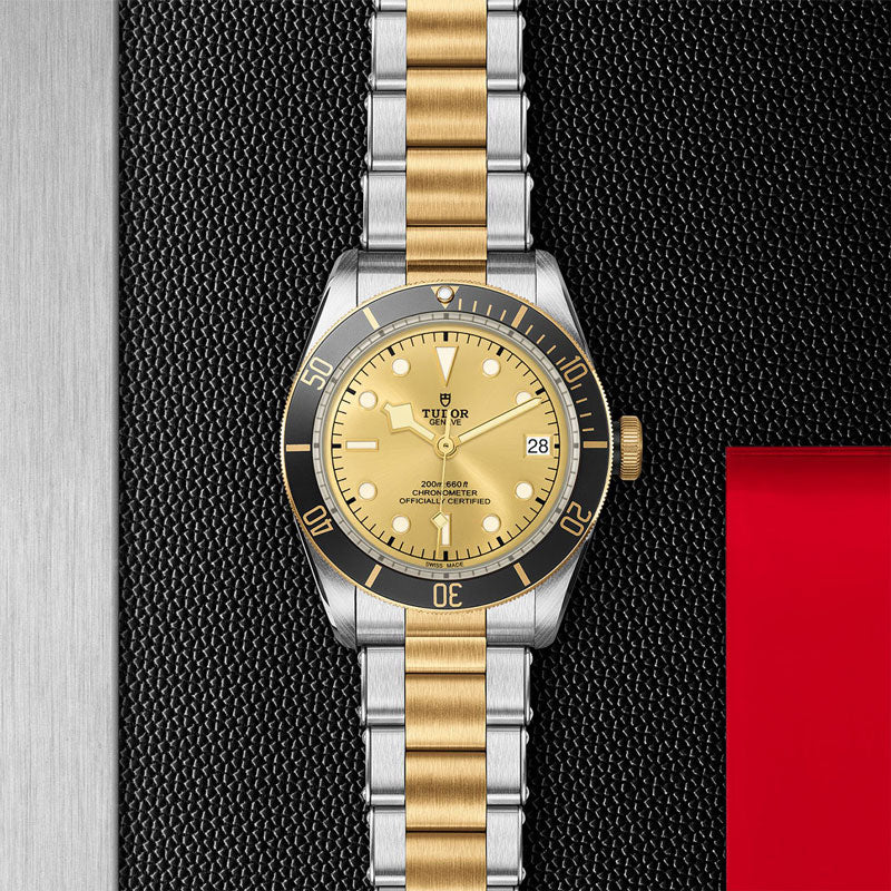 TUDOR BLACK BAY SG 79733N 72063 CHP 2