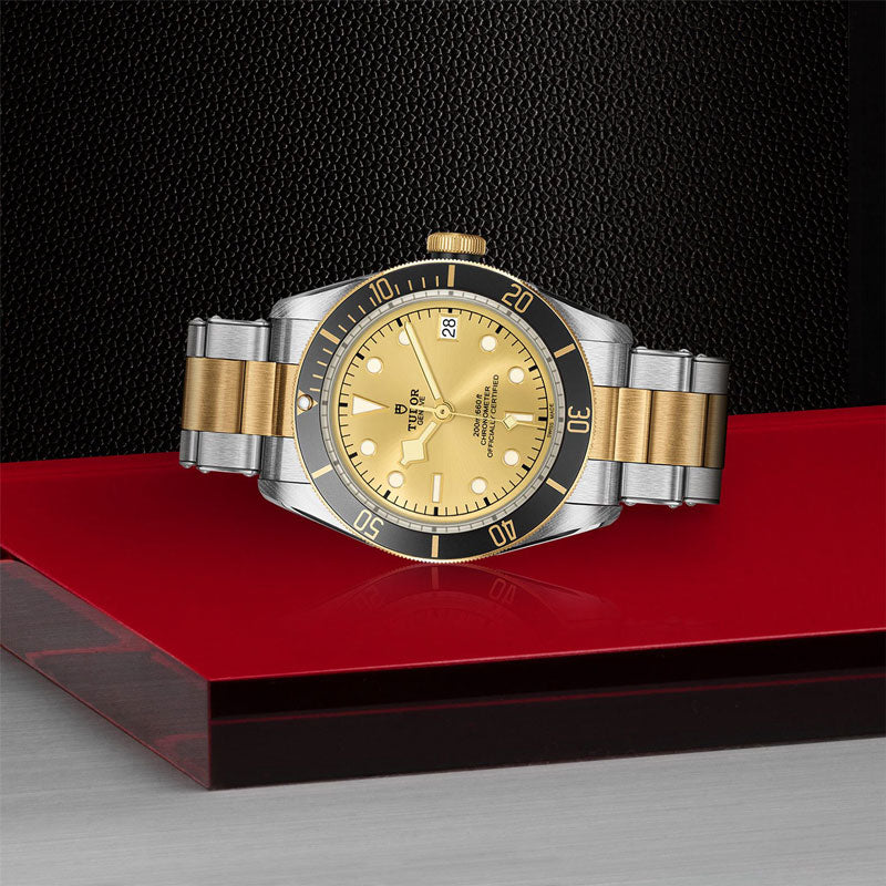 TUDOR BLACK BAY SG 79733N 72063 CHP 3