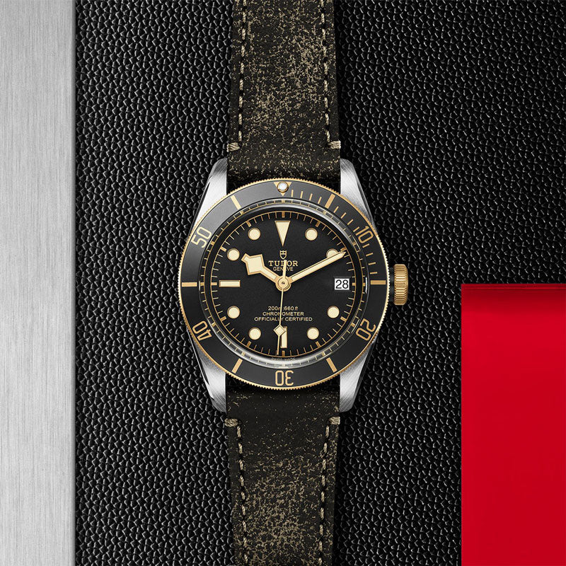 TUDOR BLACK BAY SG 79733N CALFBRO 2