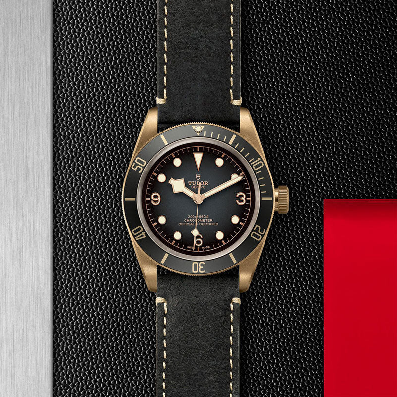 TUDOR BLACK BAY BRONZE 79250BA CALFBLA 2