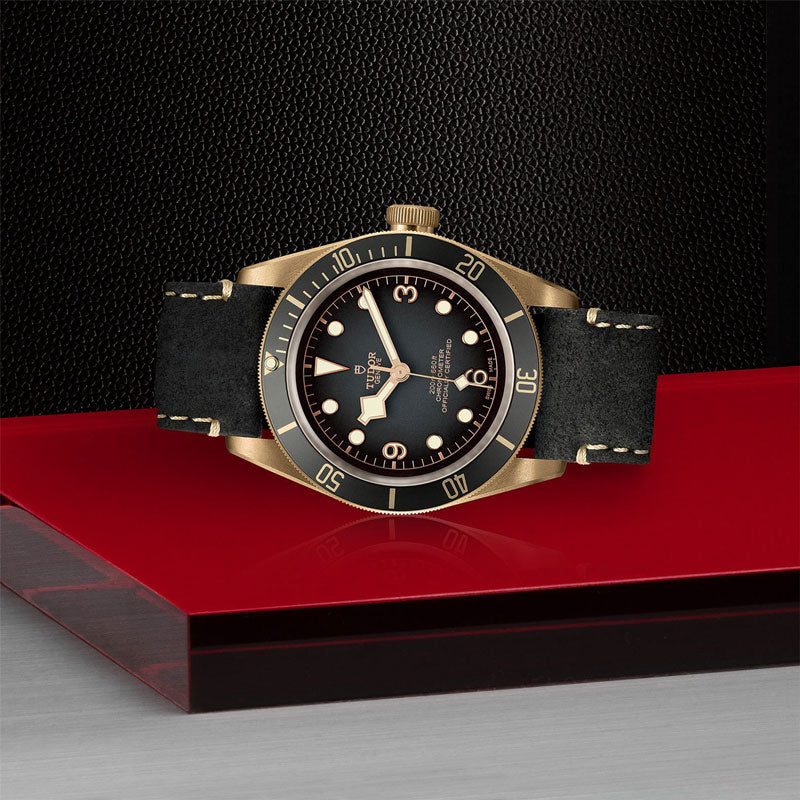 TUDOR BLACK BAY BRONZE 79250BA CALFBLA 3