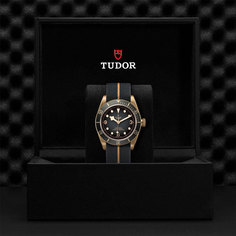 TUDOR BLACK BAY BRONZE 79250BA FABRAC 1
