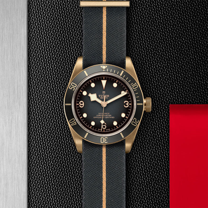 TUDOR BLACK BAY BRONZE 79250BA FABRAC 2