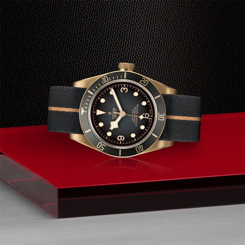 TUDOR BLACK BAY BRONZE 79250BA FABRAC 3