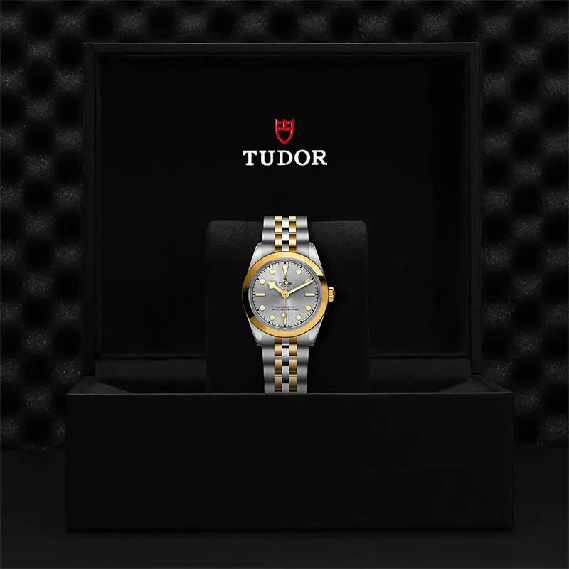 TUDOR M79603 0002 2