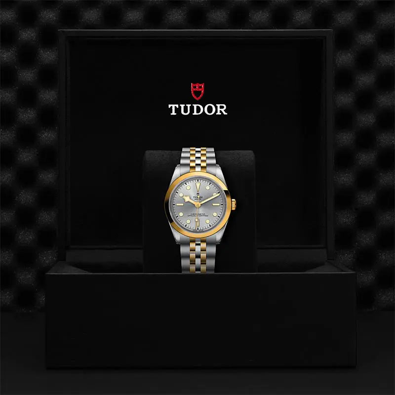 TUDOR M79643 0002 2