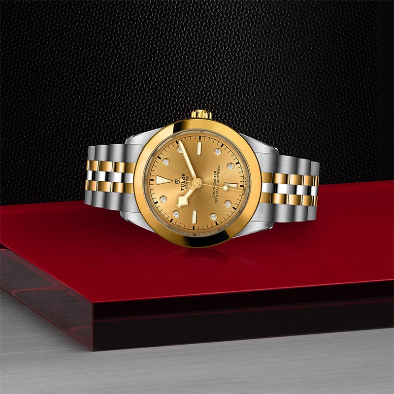 TUDOR M79663 0008 4