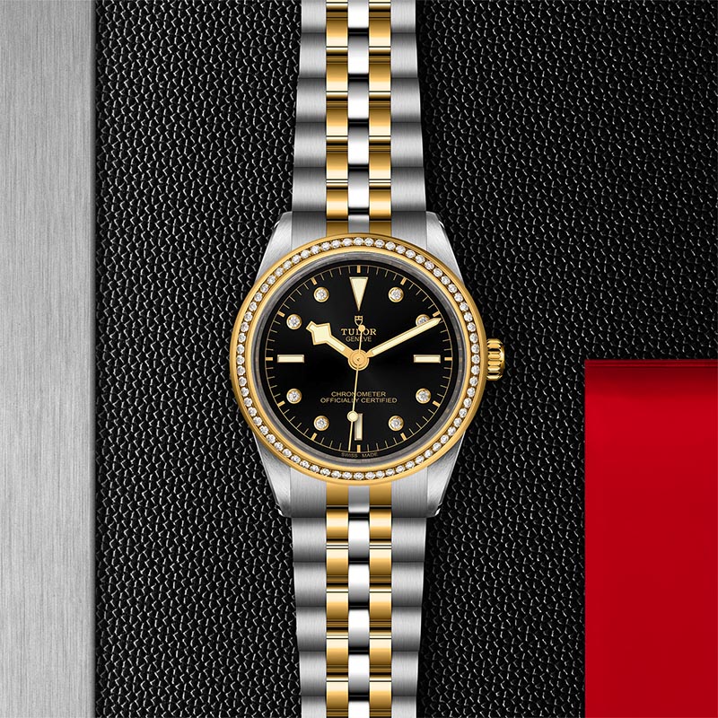 TUDOR M79673 0005 3