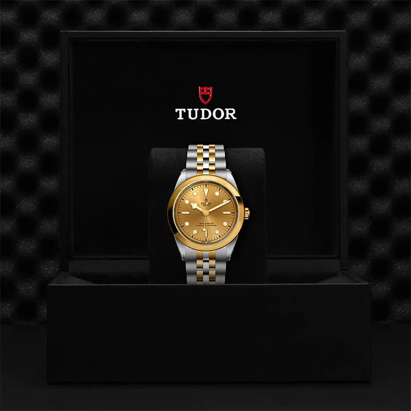 TUDOR M79683 0005 2