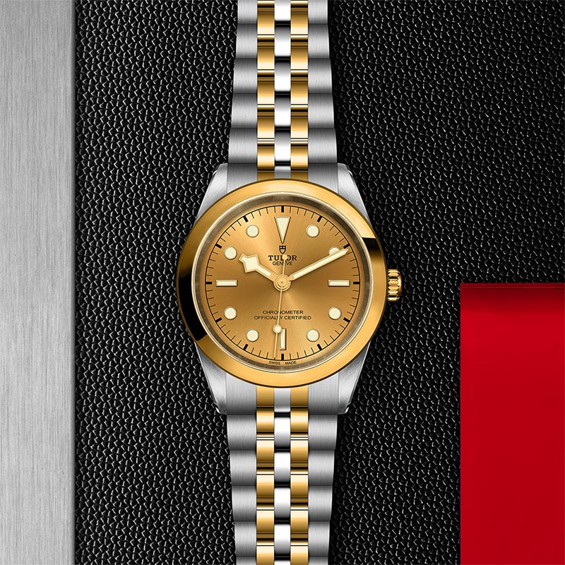 TUDOR M79683 0005 3