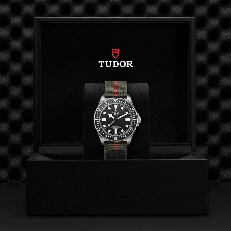Tudor Pelagos m25717n 0001 2