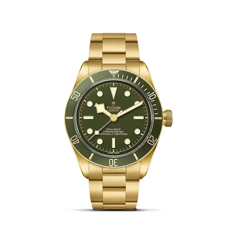 Tudor Watches m79018v 0006 1