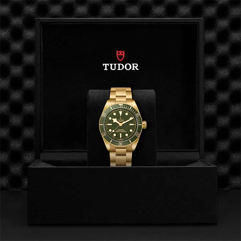 Tudor Watches m79018v 0006 2