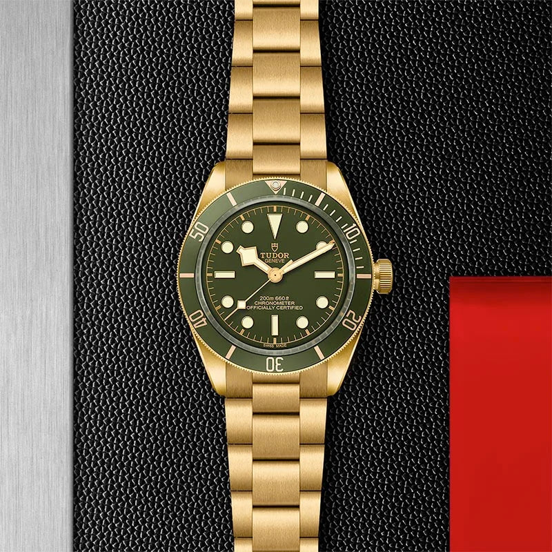 Tudor Watches m79018v 0006 3