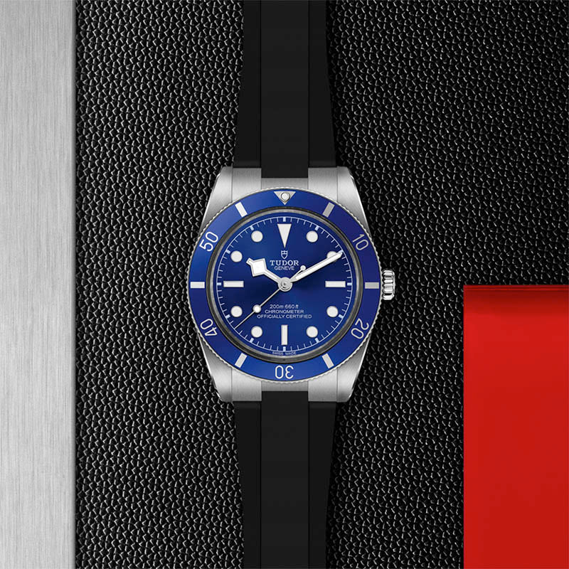 TUDOR Black Bay 54 37 M79000B-0002