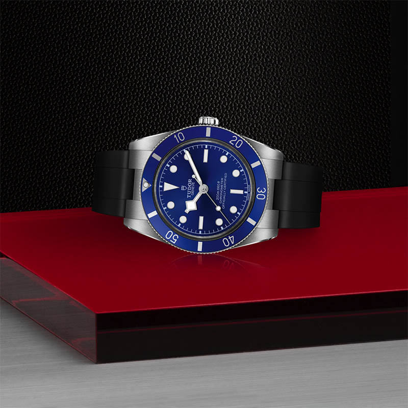 TUDOR Black Bay 54 37 M79000B-0002