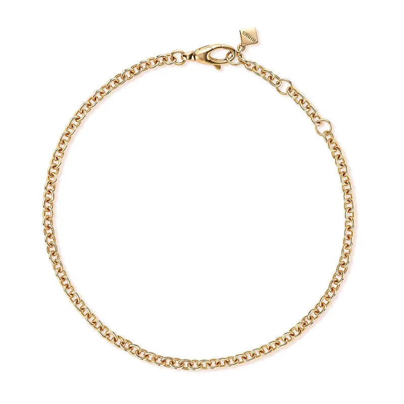 Birks 450013824979 A Birks Essentials Yellow Gold Rolo Chain Bracelet