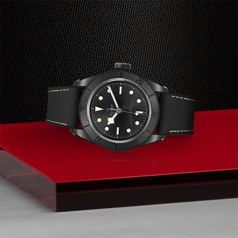 TUDOR Black Bay Ceramic 41