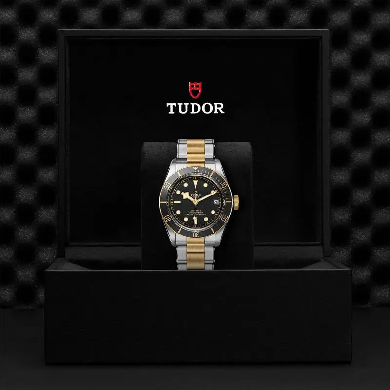 TUDOR BLACK BAY SG 79733N 72063 BLK 1