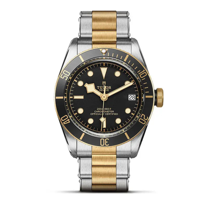 TUDOR_BLACK-BAY-S&G-79733N_72063_BLK-HERO