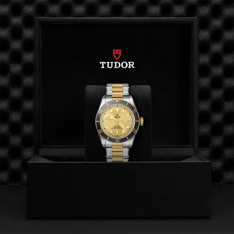 TUDOR BLACK BAY SG 79733N 72063 CHP 1