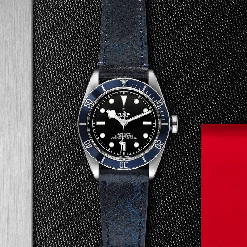 TUDOR BLACK BAY 79230B CALFBLUE 2