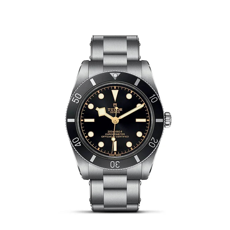 TUDOR Black Bay 54 M79000N-0001