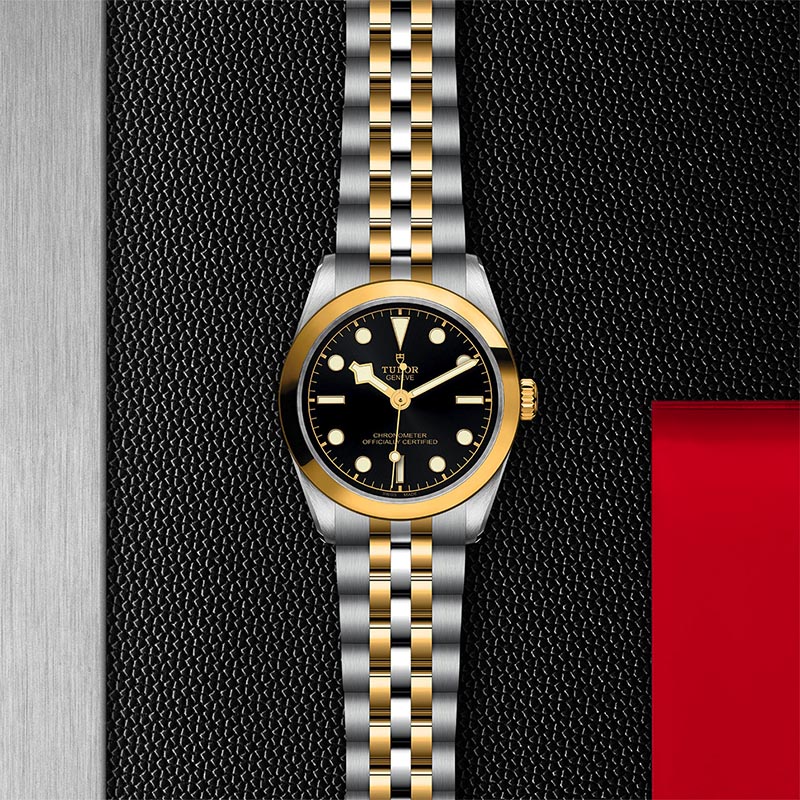 TUDOR M79603 0001 3