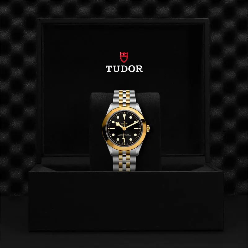 TUDOR Black Bay 39 S&G M79663-0001