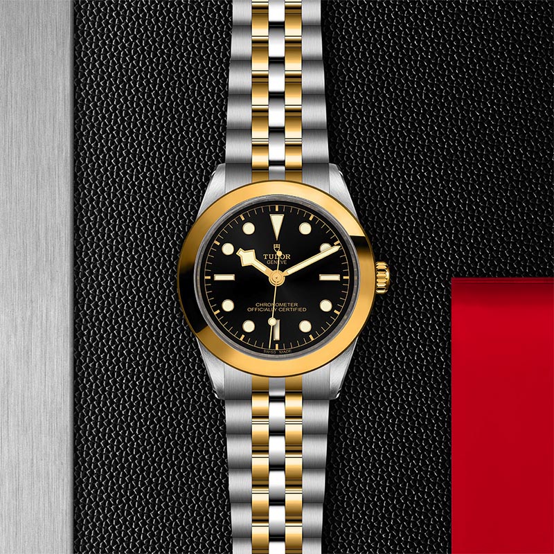 TUDOR M79663 0001 3