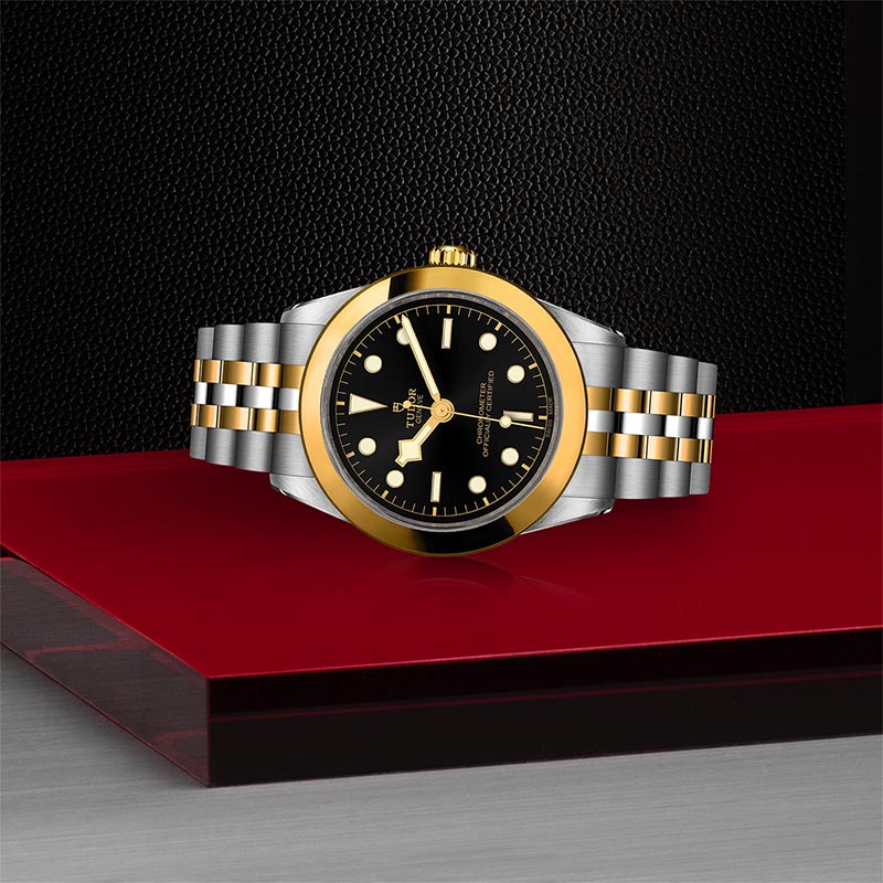 TUDOR M79663 0001 4