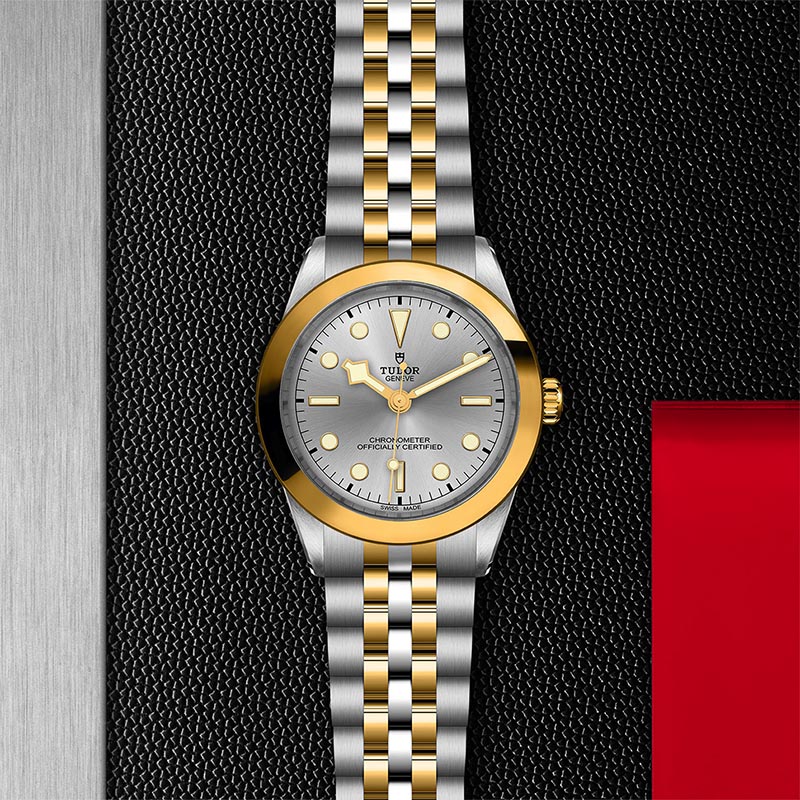 TUDOR M79663 0002 3