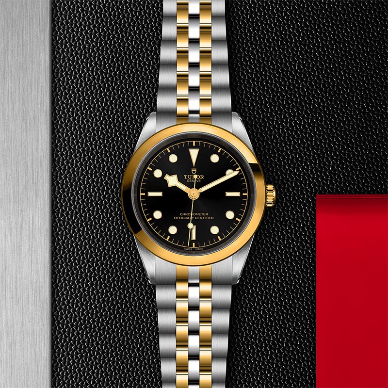 TUDOR M79683 0001 3