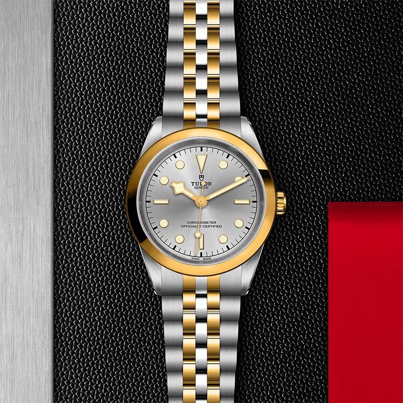 TUDOR M79683 0002 3