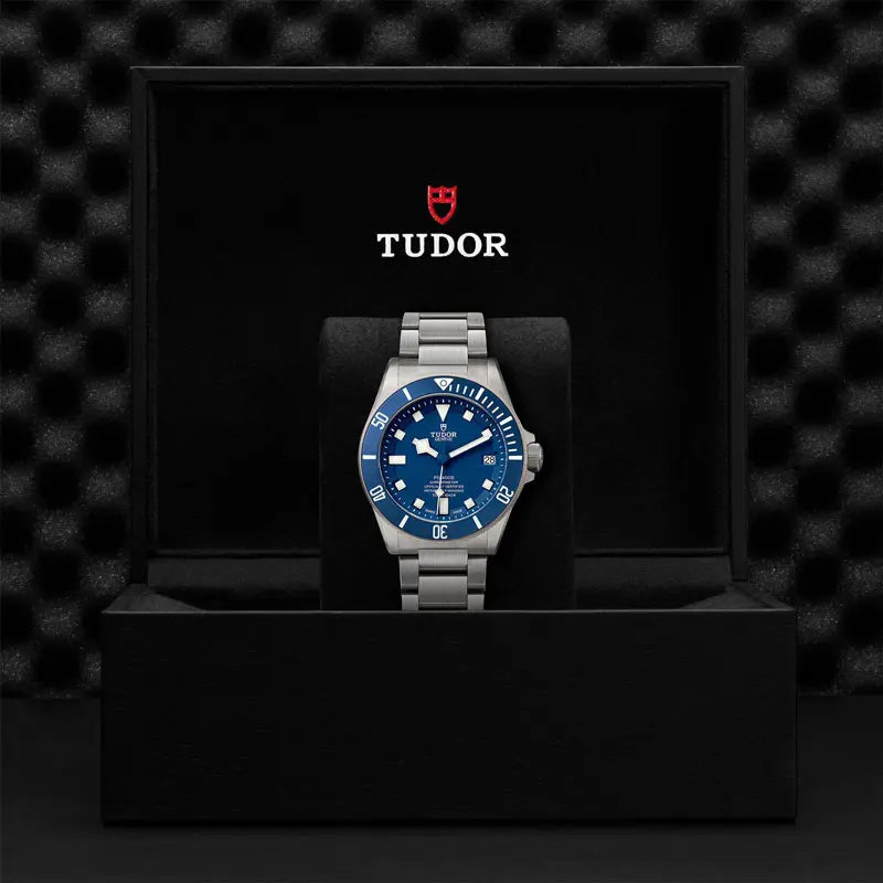 TUDOR_PELAGOS-25600TB_95820T_B-1