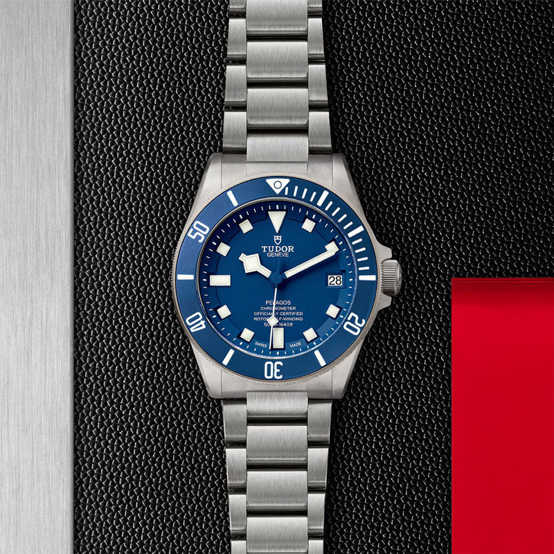 TUDOR PELAGOS 25600TB 95820T B 2