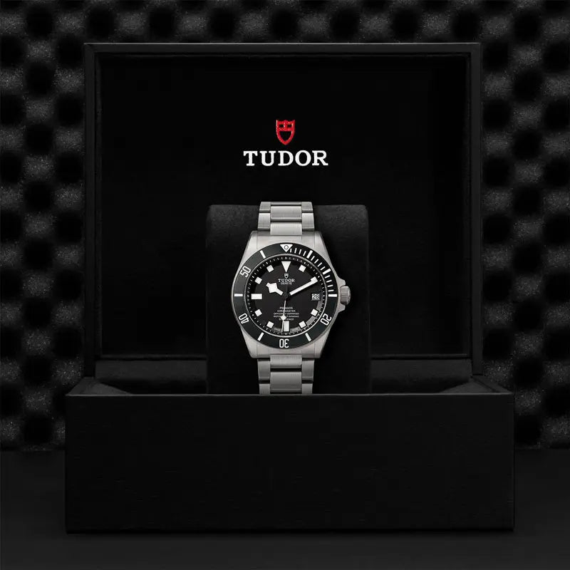 TUDOR PELAGOS 25600TN 95820T B 1