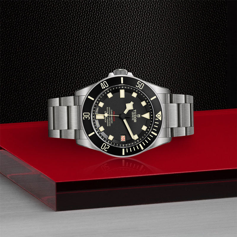 TUDOR PELAGOS 25610TNL 95820T 3