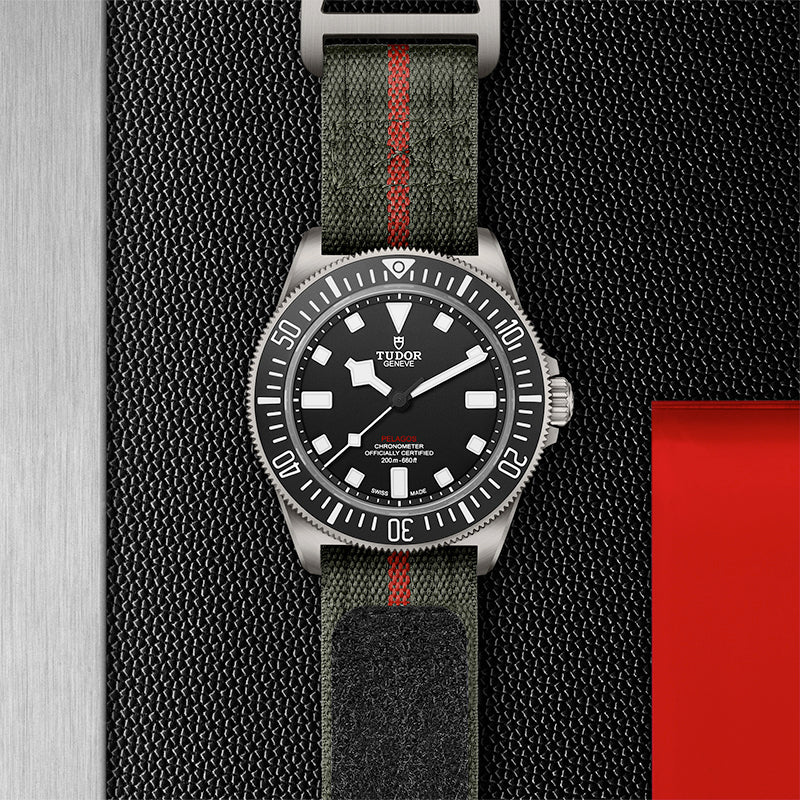 Tudor Pelagos m25717n 0001 3