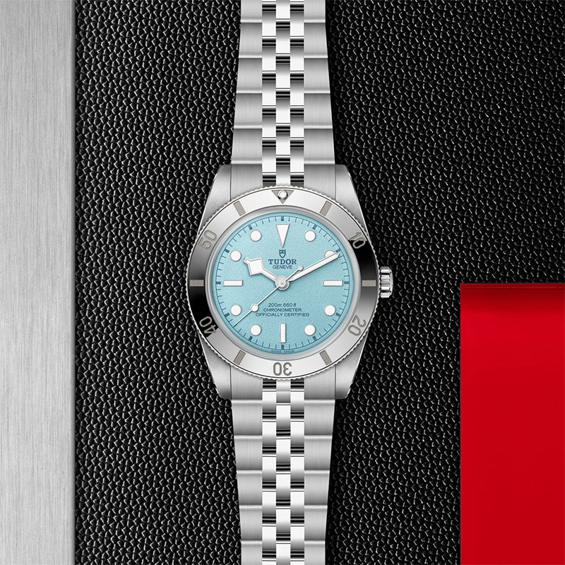 TUDOR Black Bay 54 M79000-0001