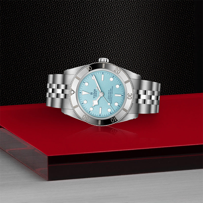 TUDOR Black Bay 54 M79000-0001
