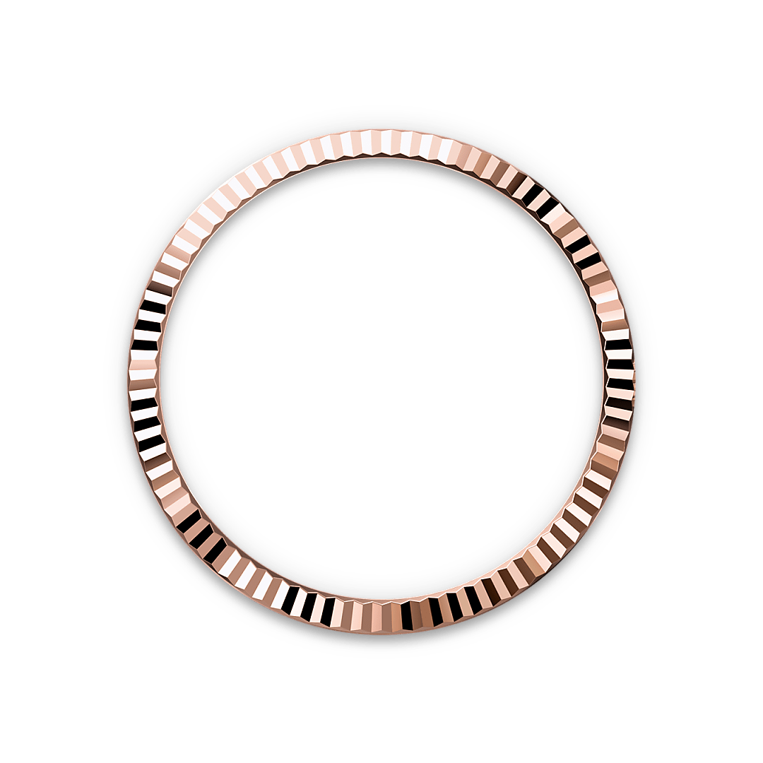 rolex bezel landscape m126231 0020