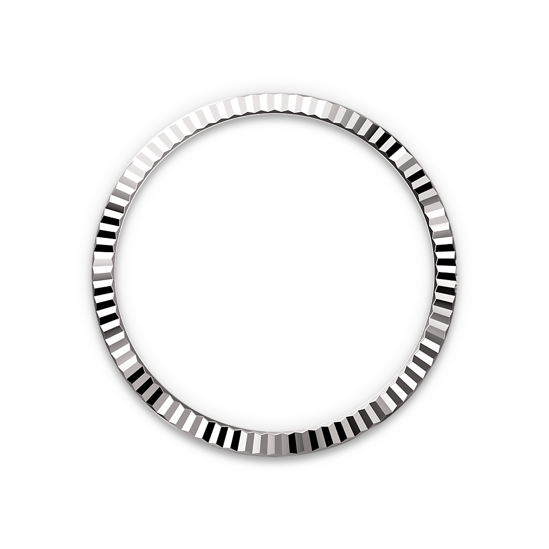 rolex bezel landscape m126234 0051