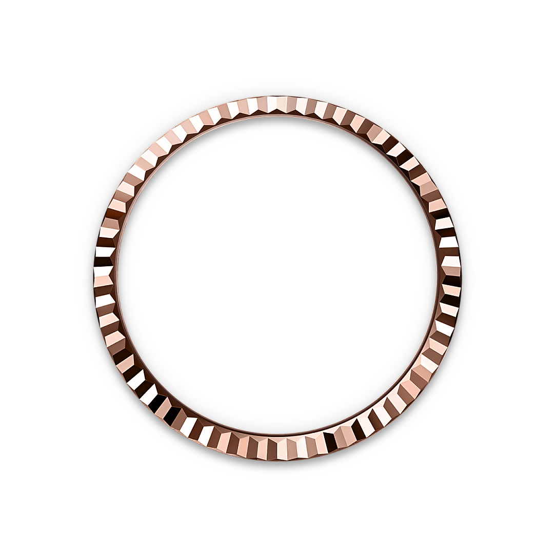 rolex bezel landscape m127235 0001