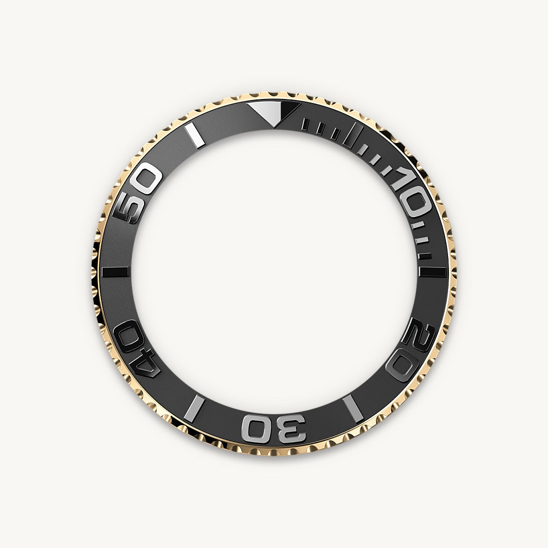 Bezel Landscape M226658 0001