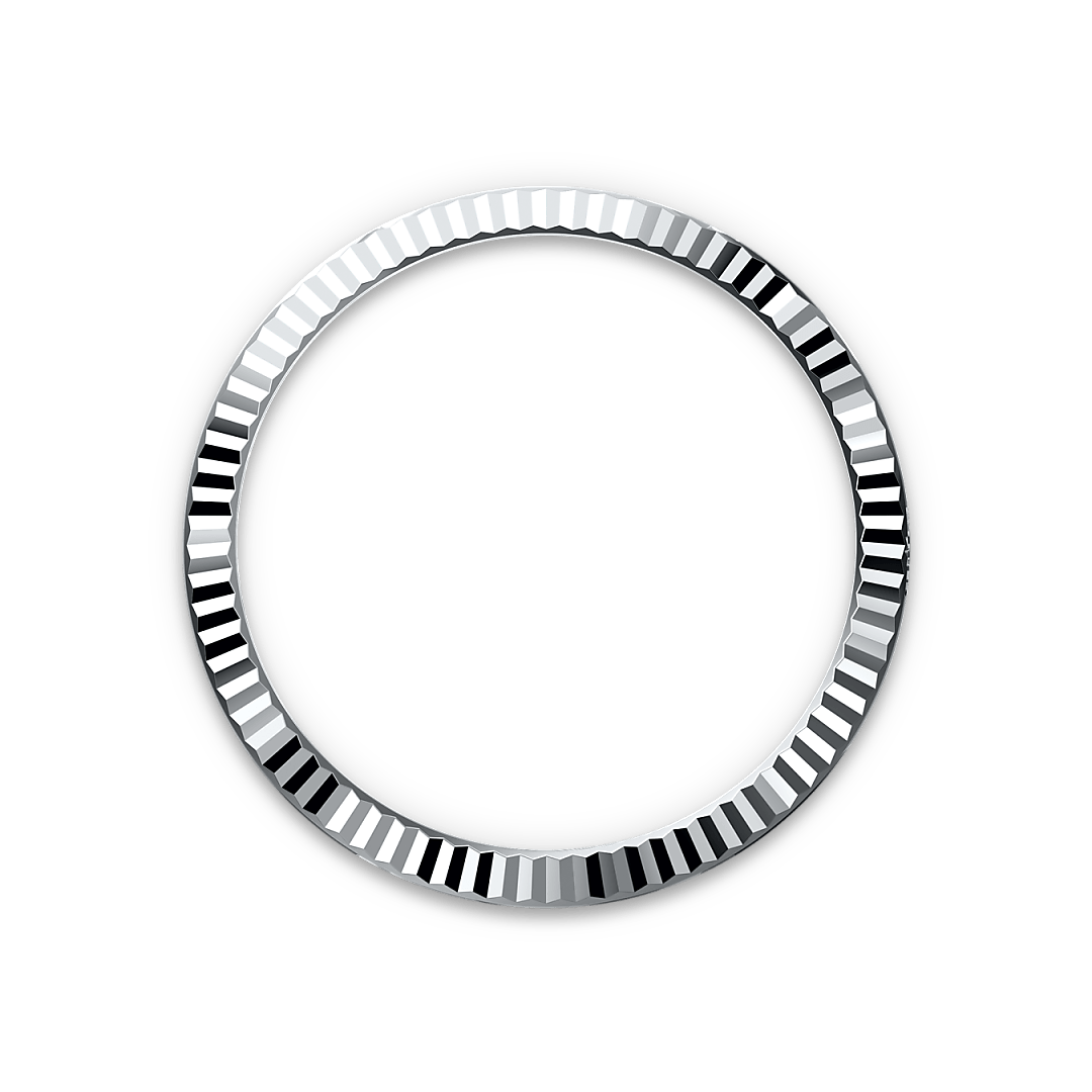 rolex bezel landscape m228236 0012
