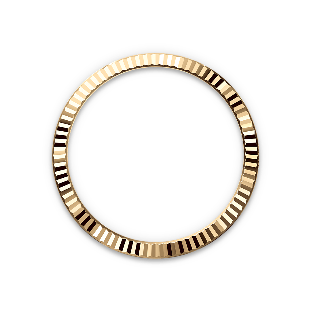 rolex bezel landscape m228238 0042
